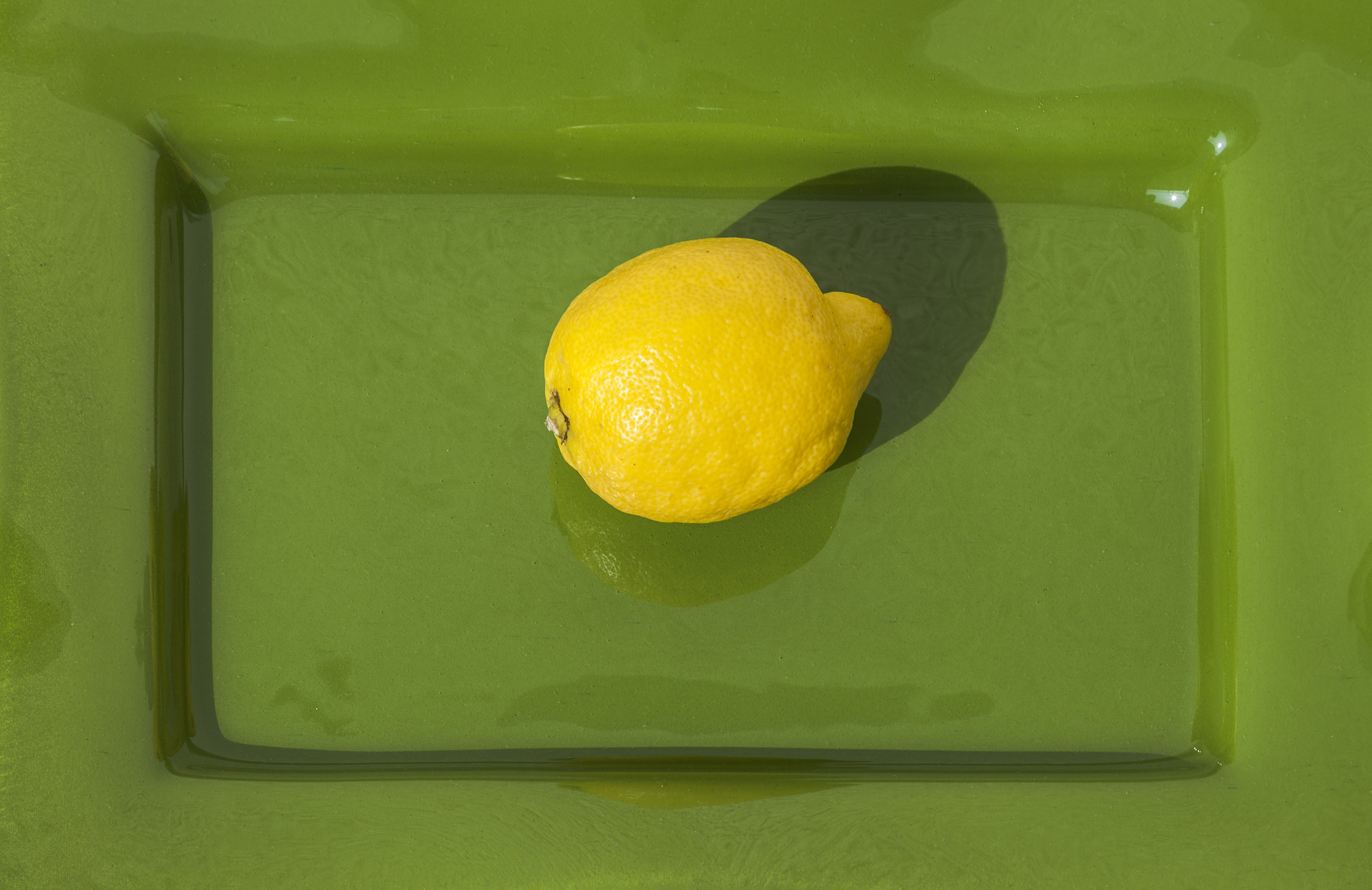 Limón, Múnich, Alemania, 2013-03-30, DD 01
