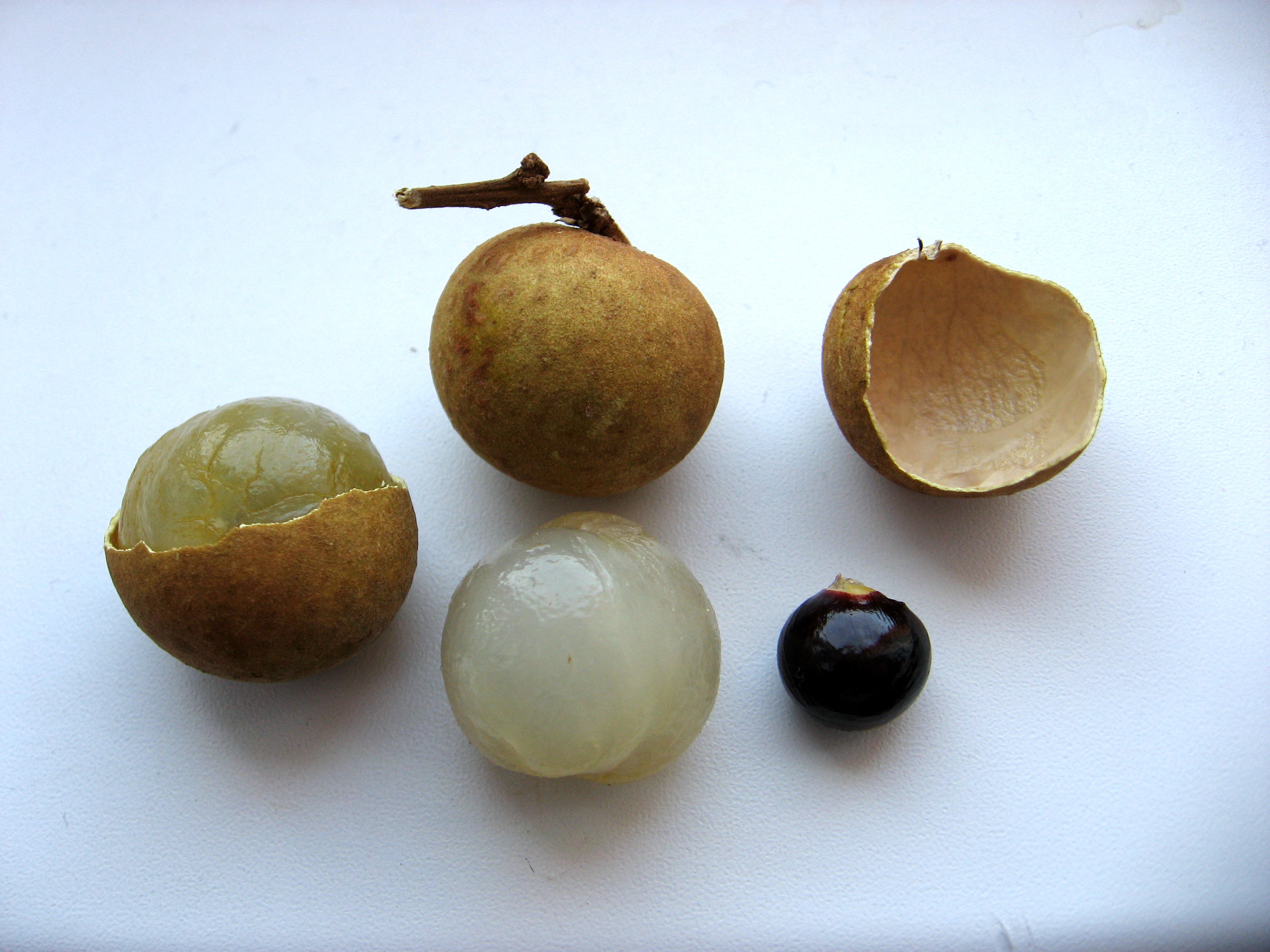 Longan (2)