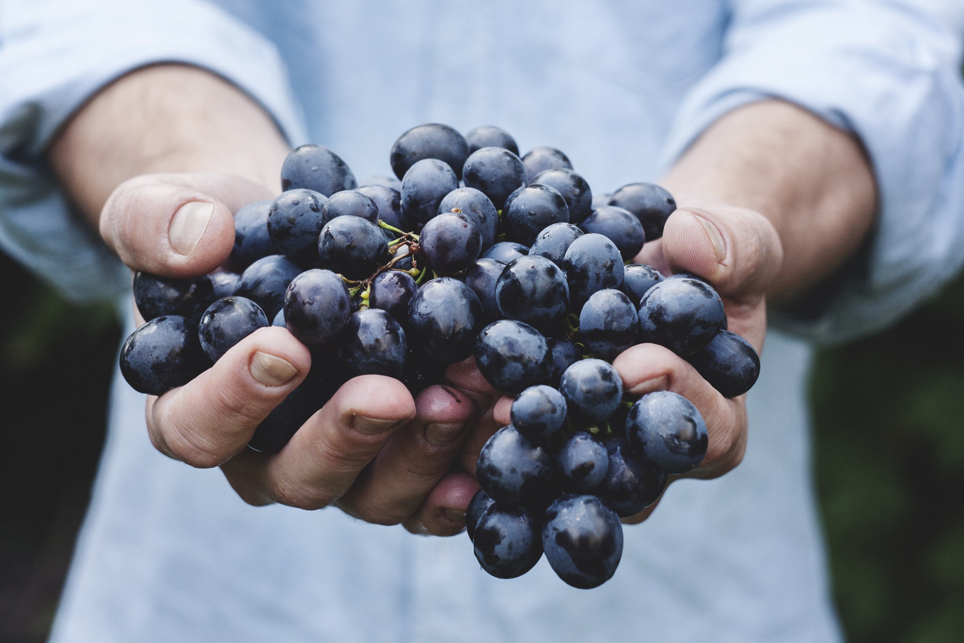 Maja Petric 2015 (Unsplash)