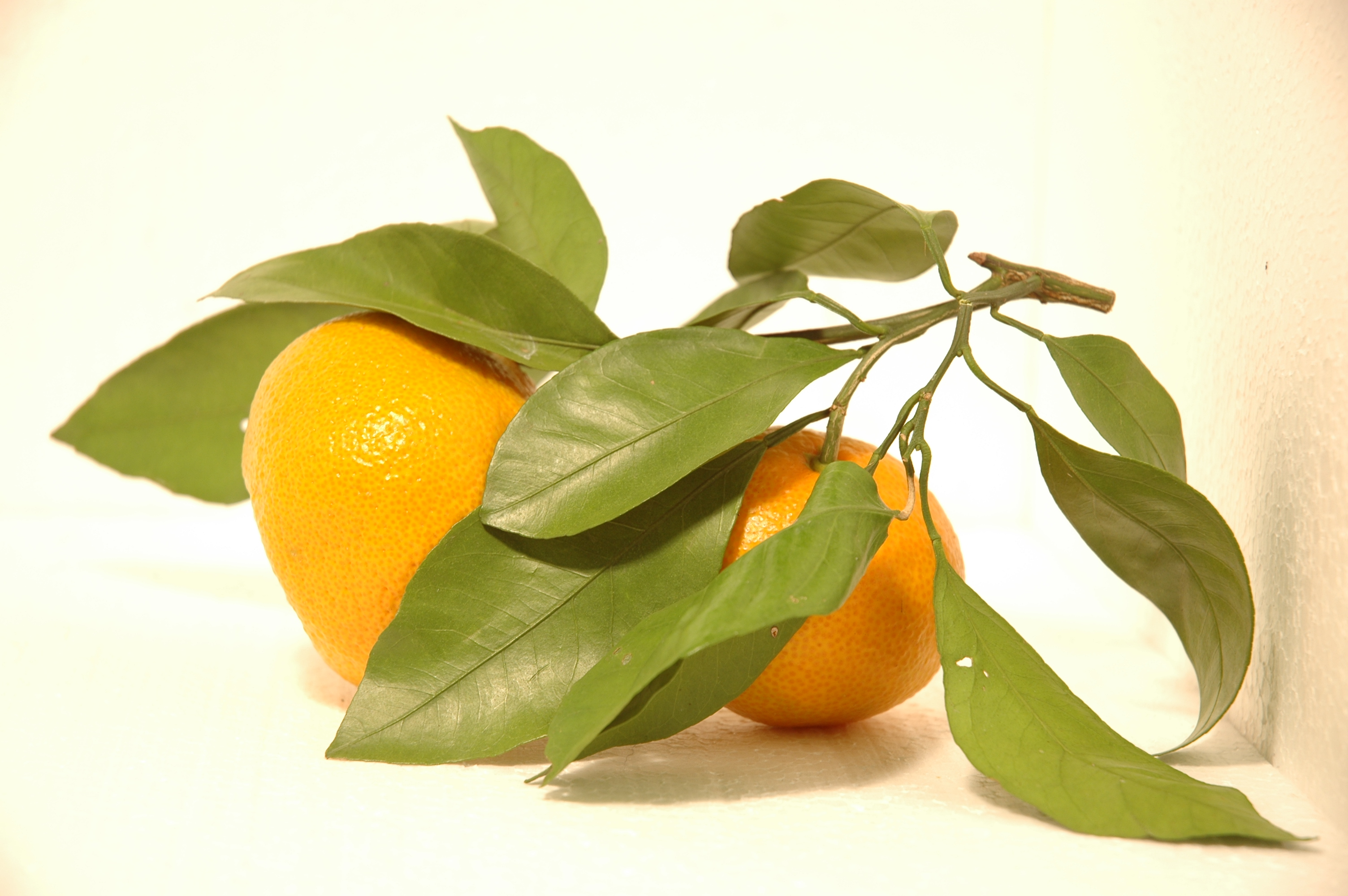 Mandarinke