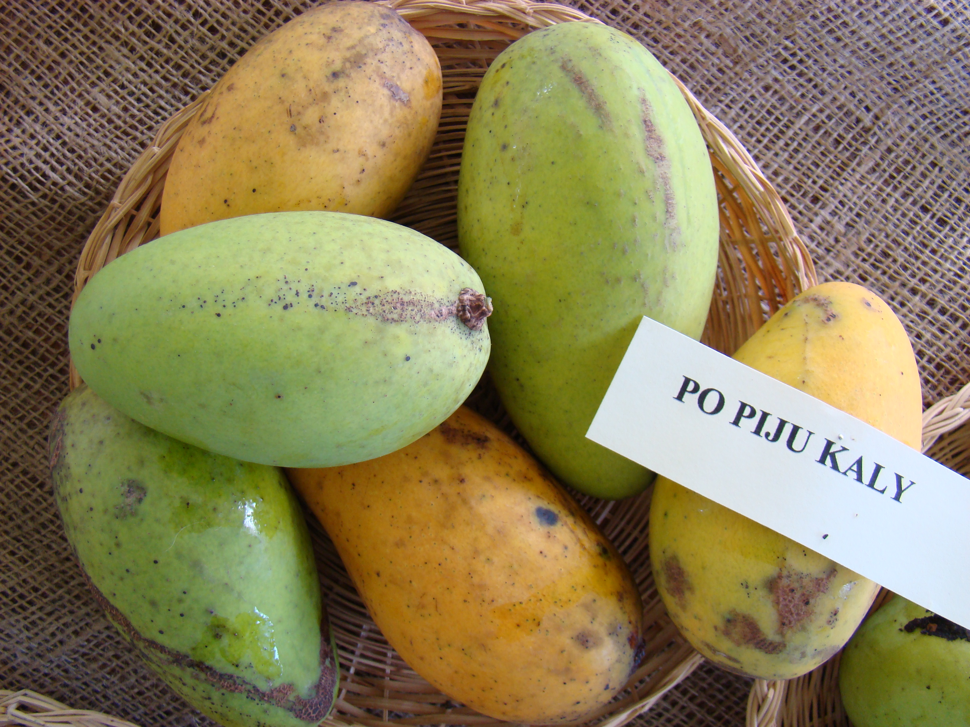 Mango PoPyuKalay Asit fs8
