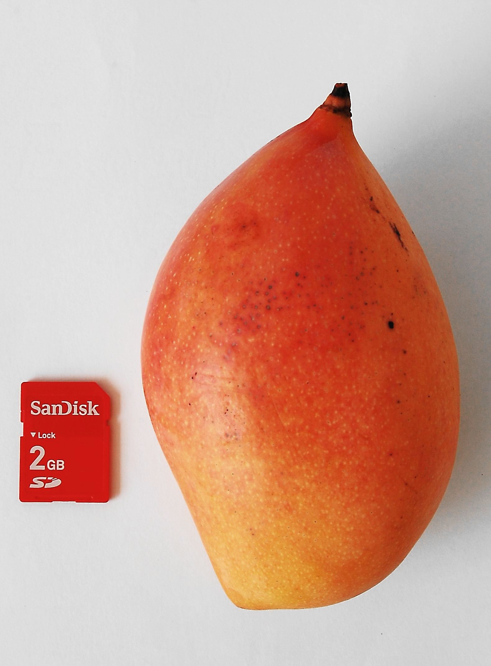 Mango thottapuri