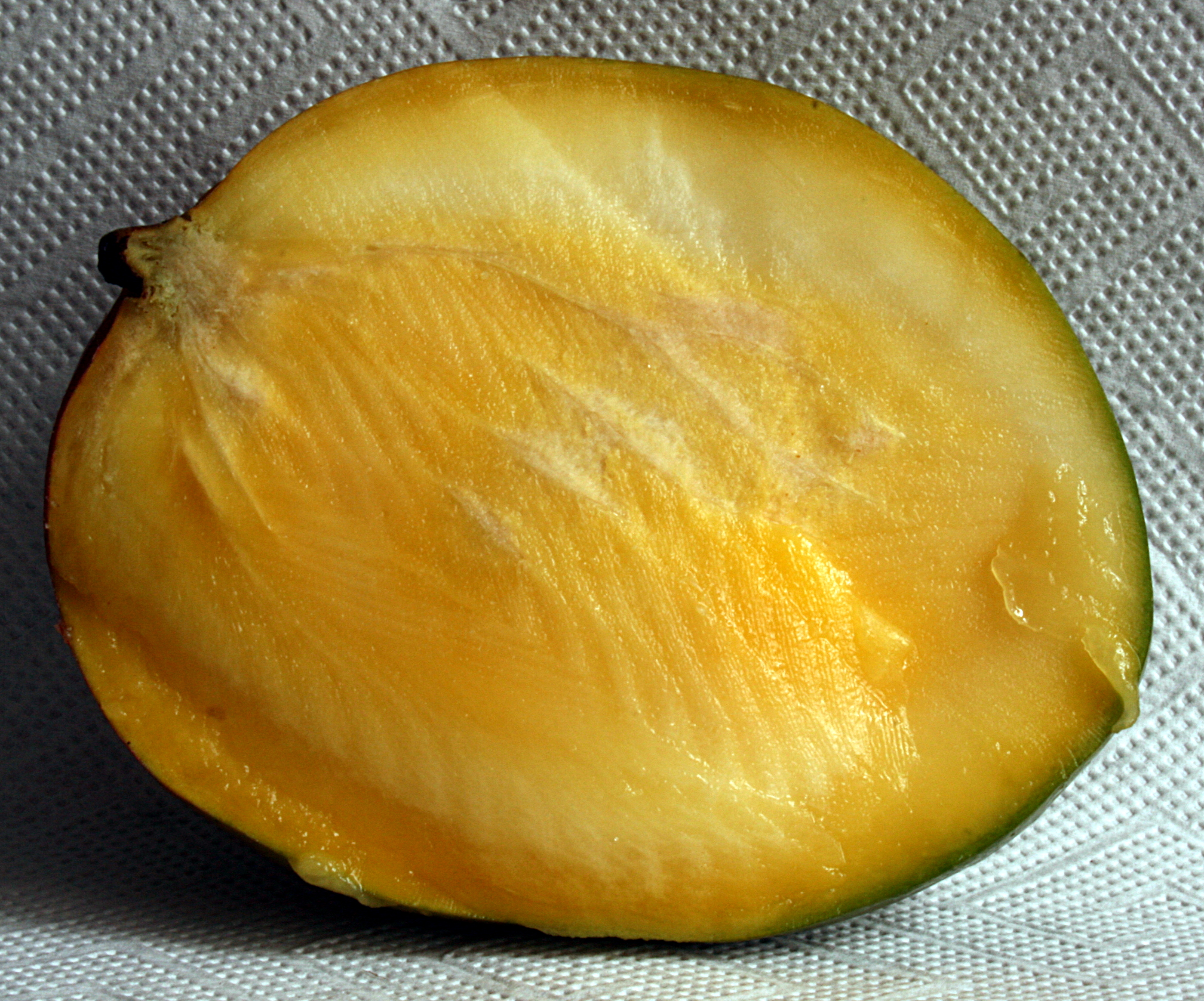 Mangohälfte 2008-3-1