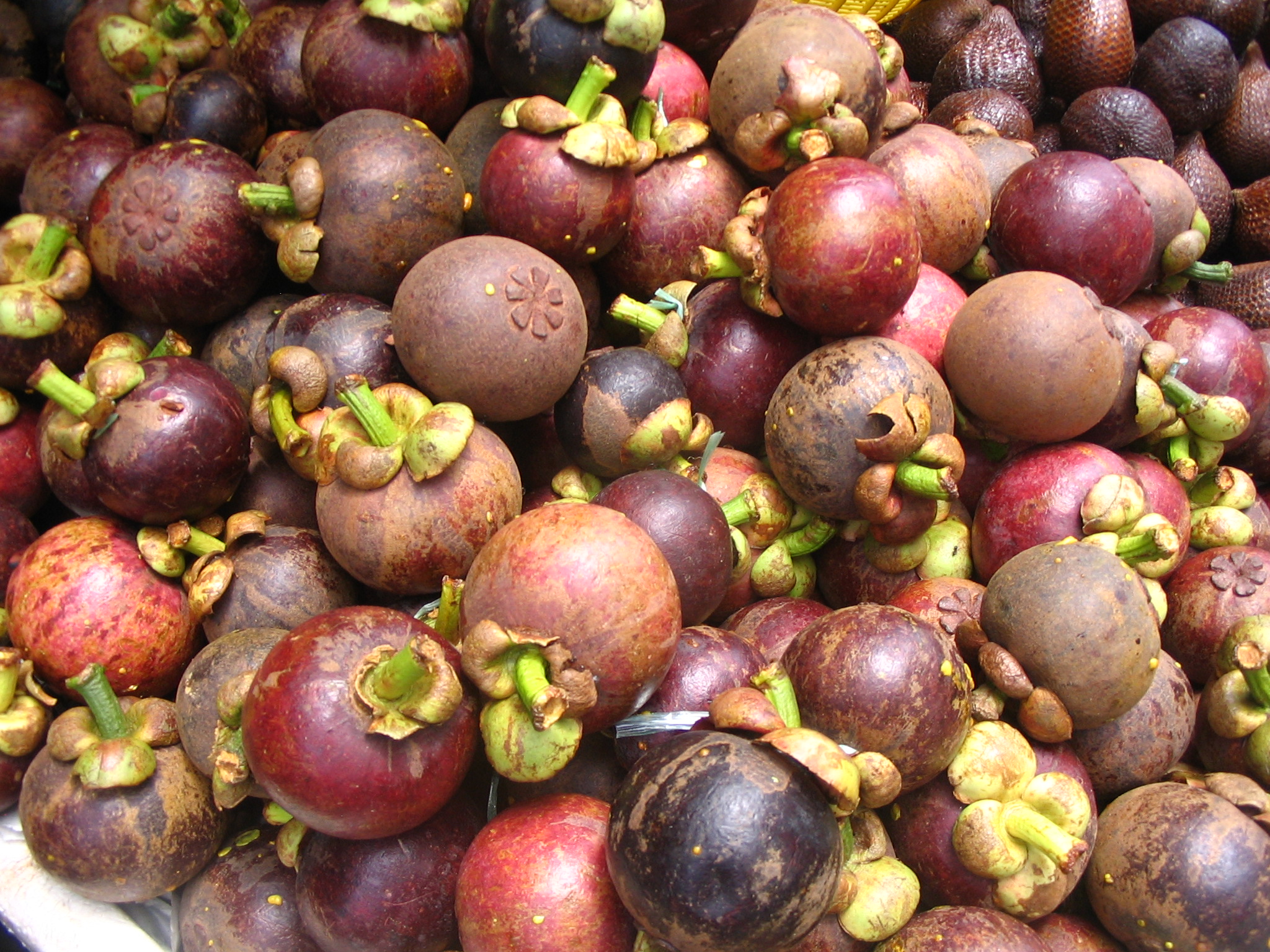 Mangoustans