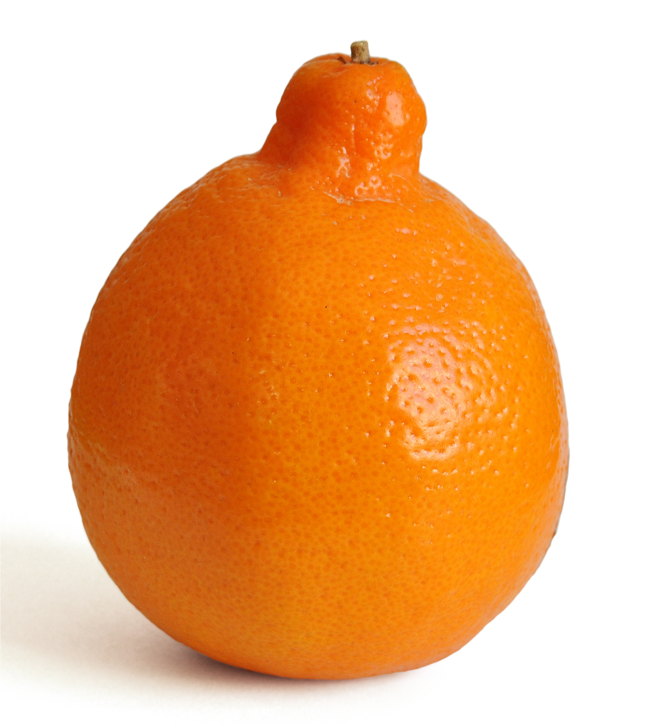 Minneola fruit