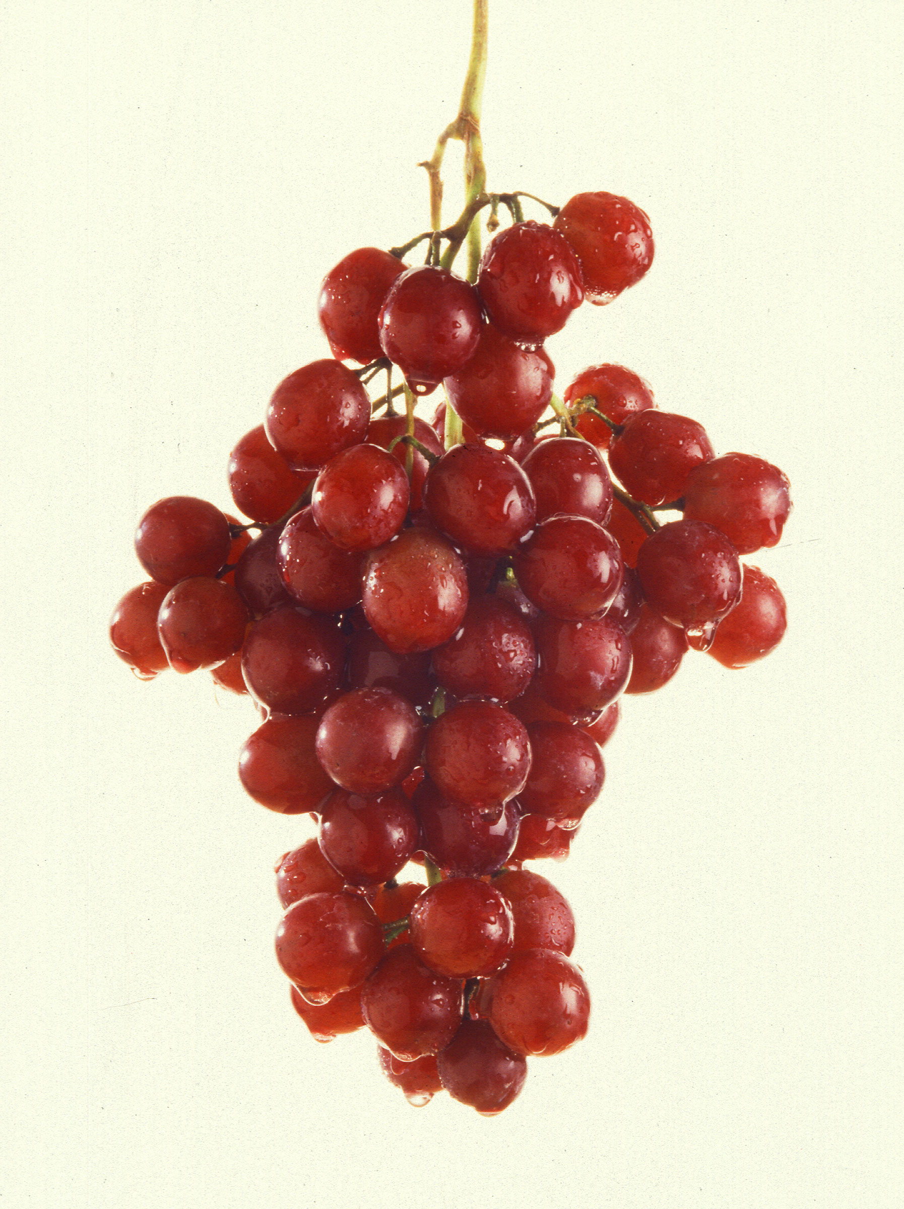 More grapes