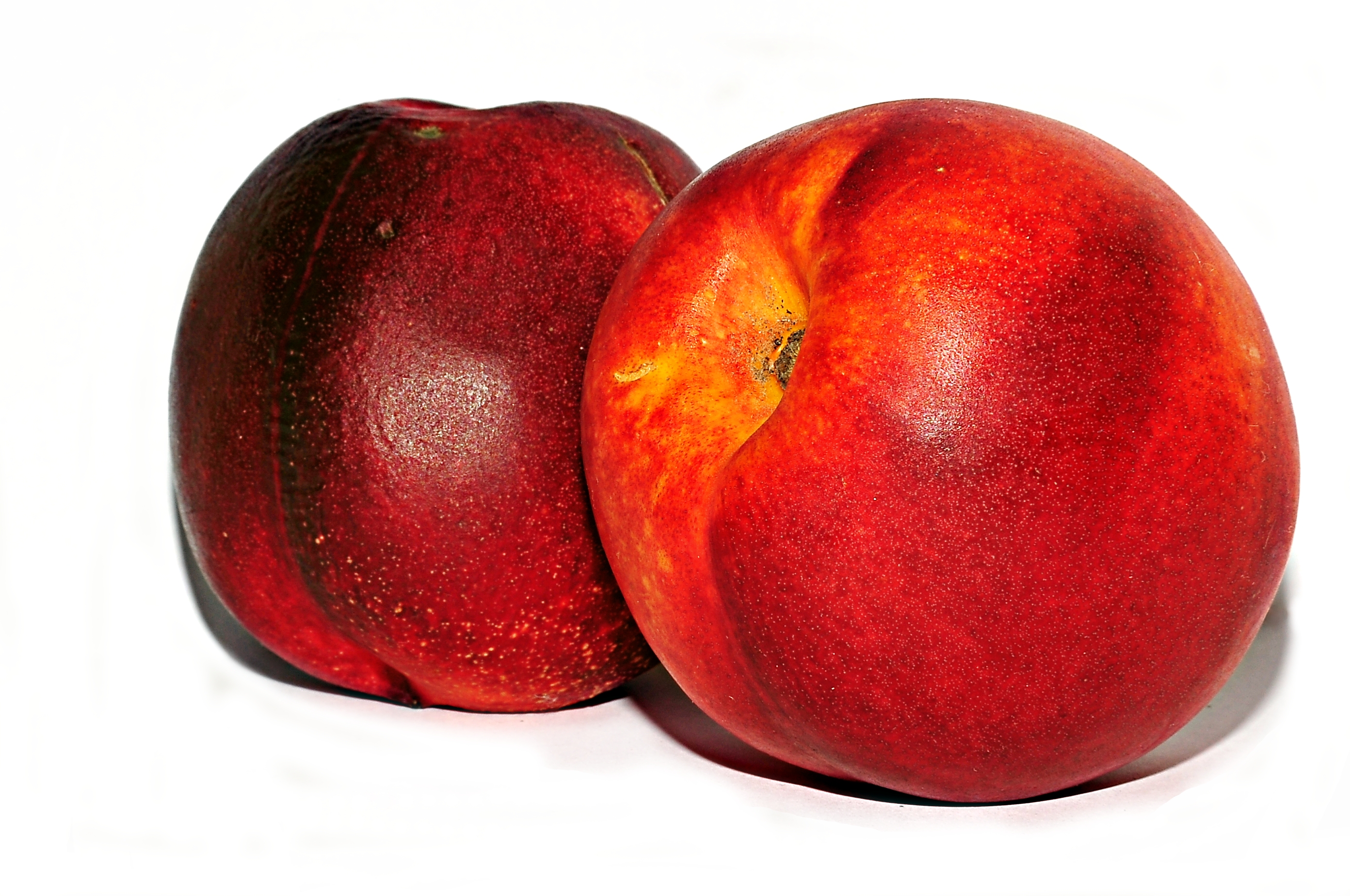 Nectarines 2
