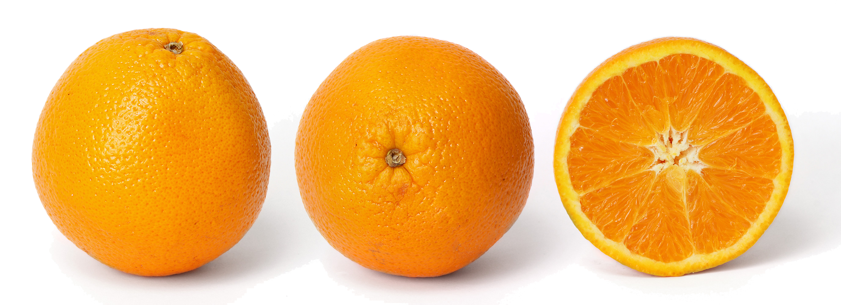 Orange and cross section edit