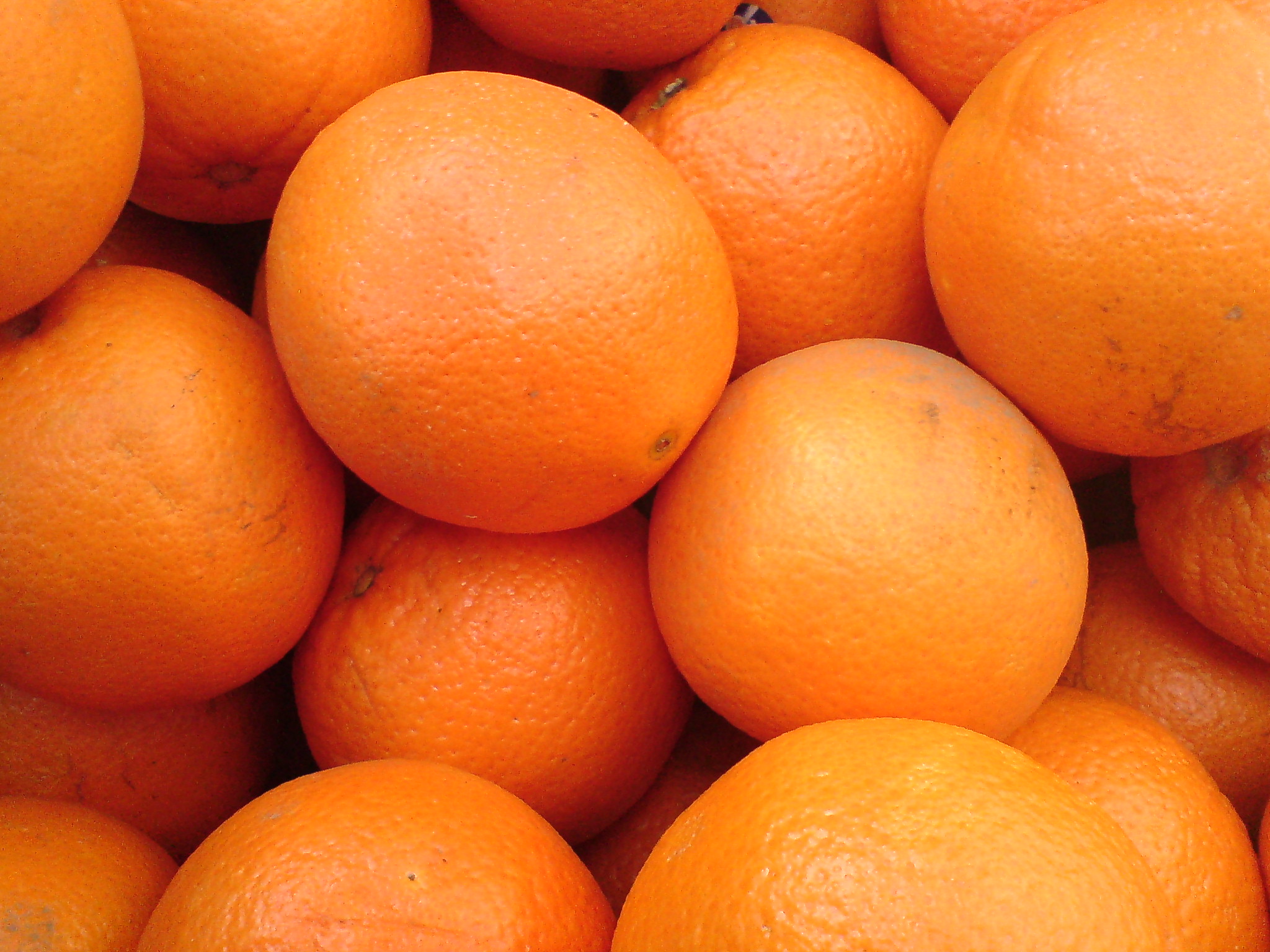 Oranges prises par le K800i