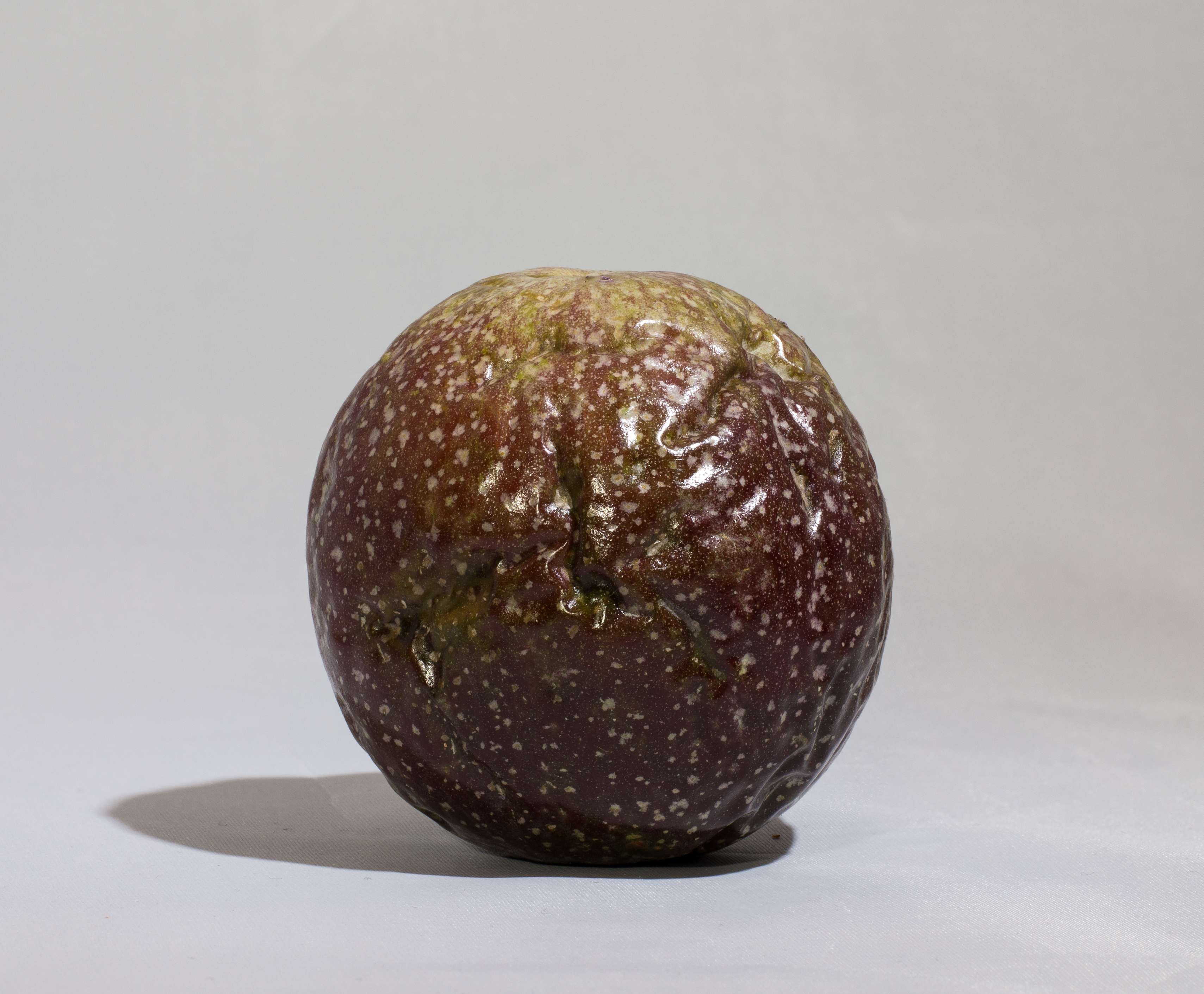 Passionfruit on white