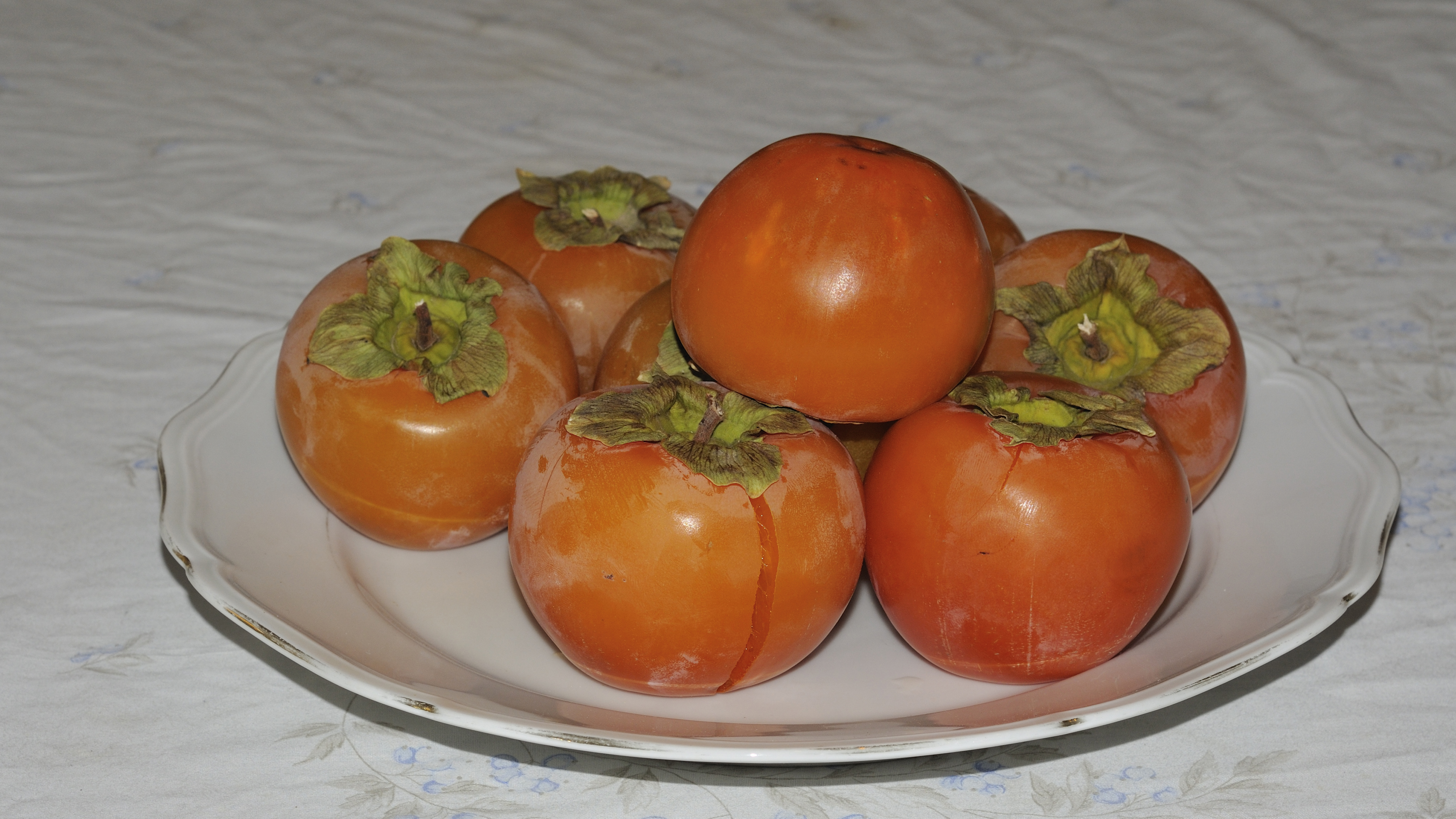 Persimmon - My Favorite (4039164785)