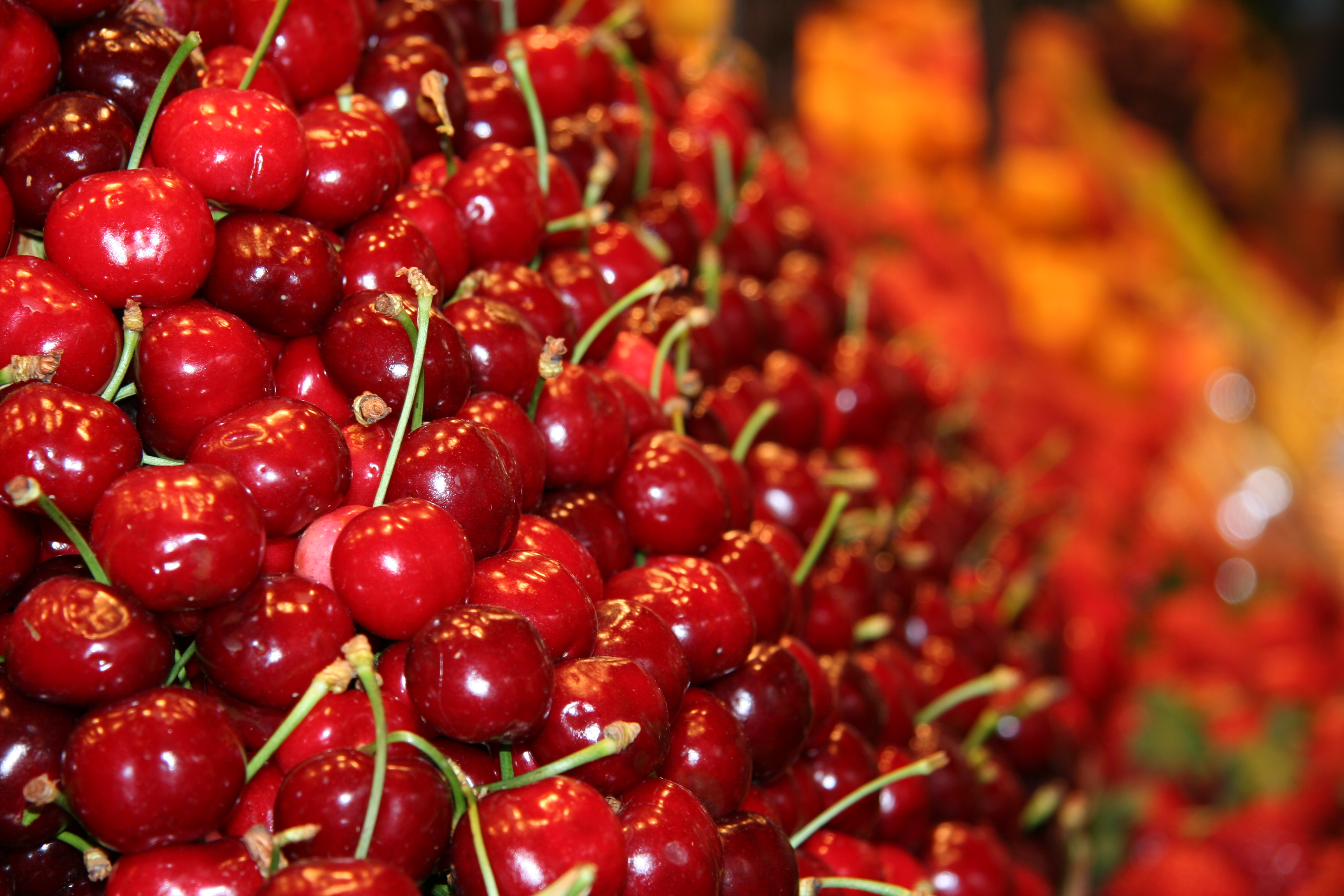 Philadelphia cherries