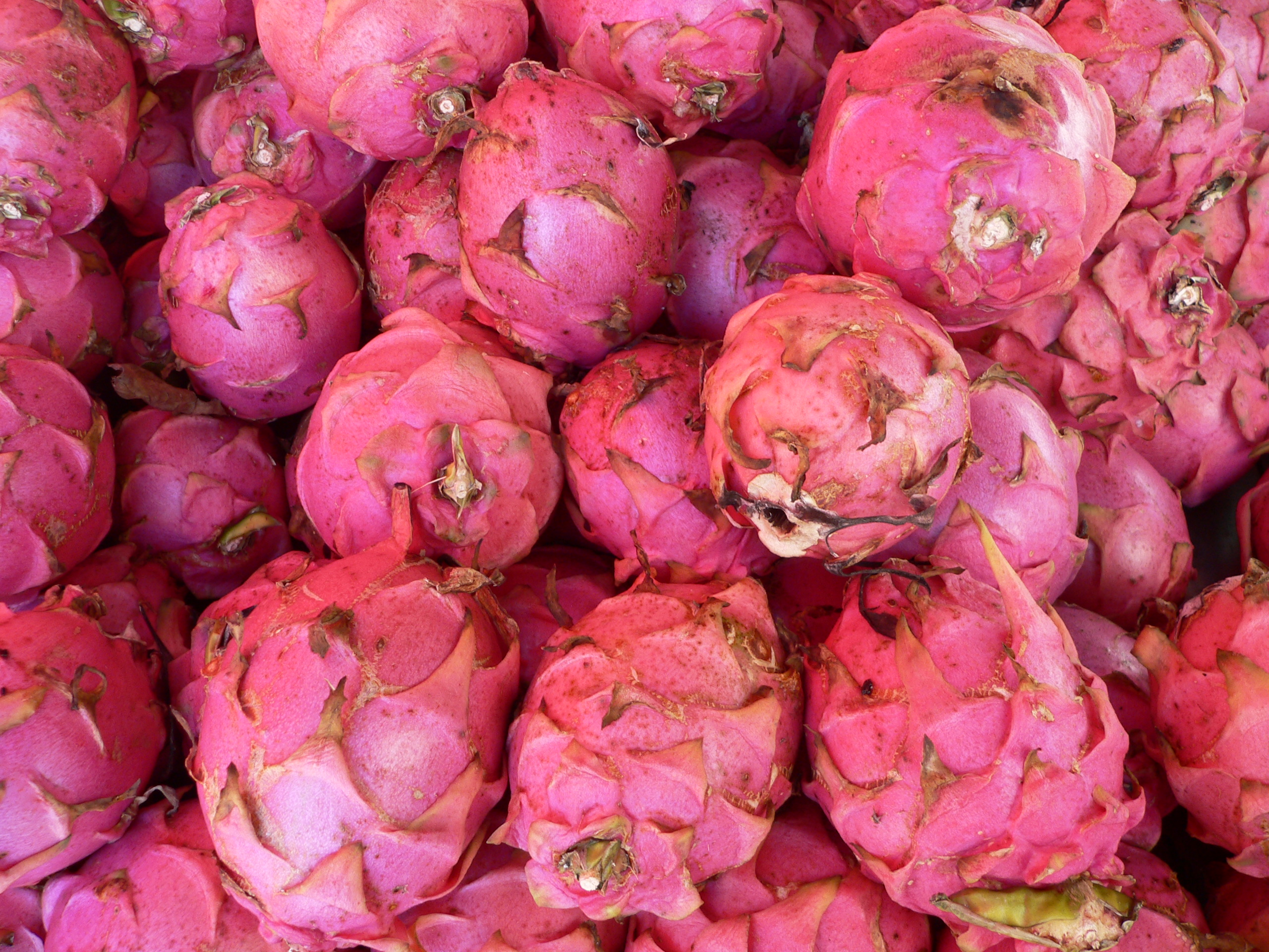 Pitaya P1190424
