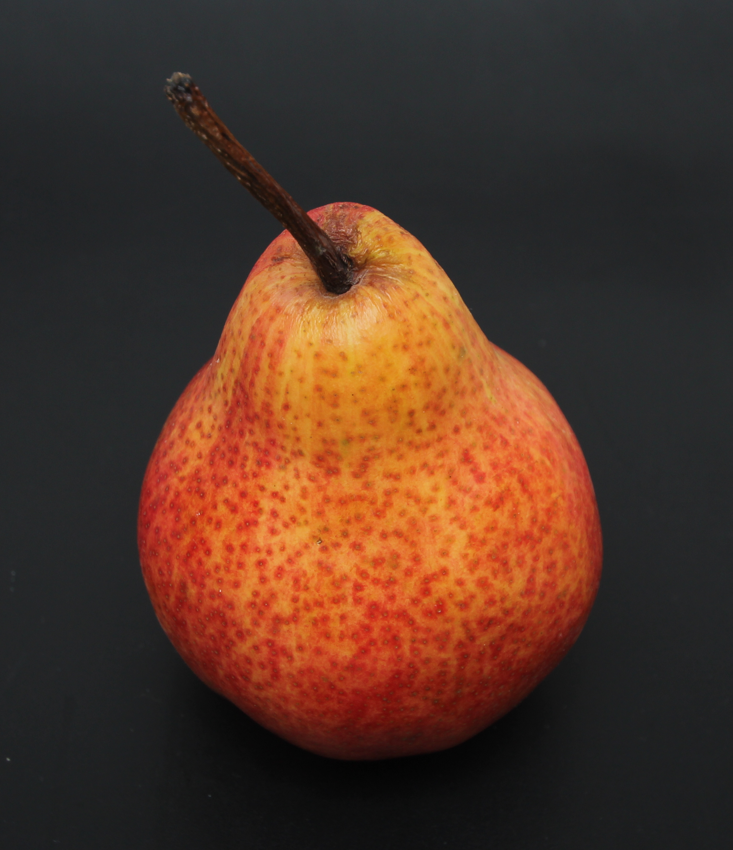 Poire Red Bartlett - 4