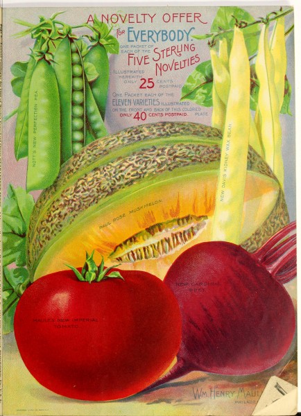 1900 Maule's seed catalogue BHL42541383