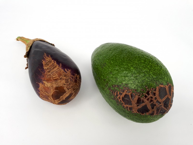 2 x Fruit scab - Avocado - Eggplant - 2017 A