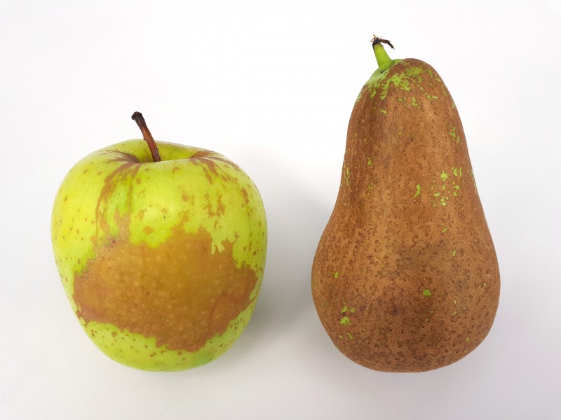 2 x Russetted fruit - Apple - Pear - 2017 C1