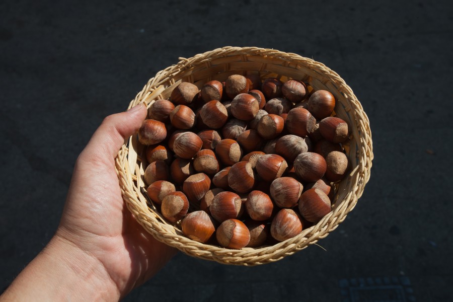 Abelás en Celanova - Galiza