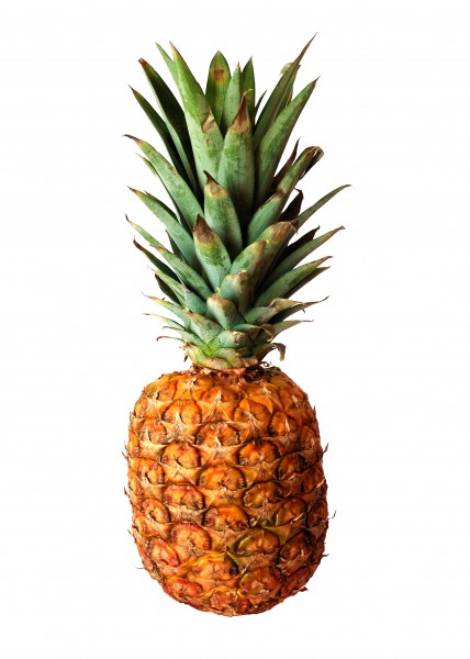 Ananas~May 2008-1