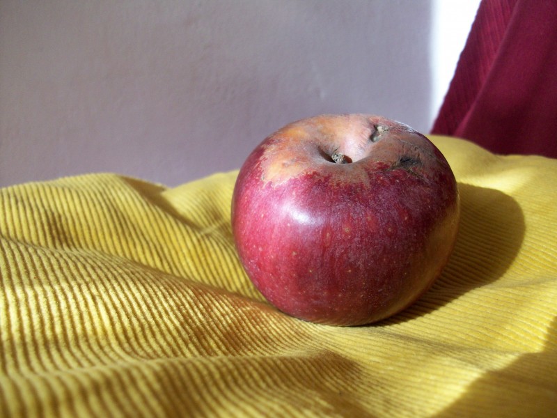 Annurca apple