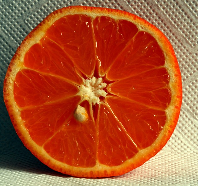 Apfelsinenhälfte 2008-3-1