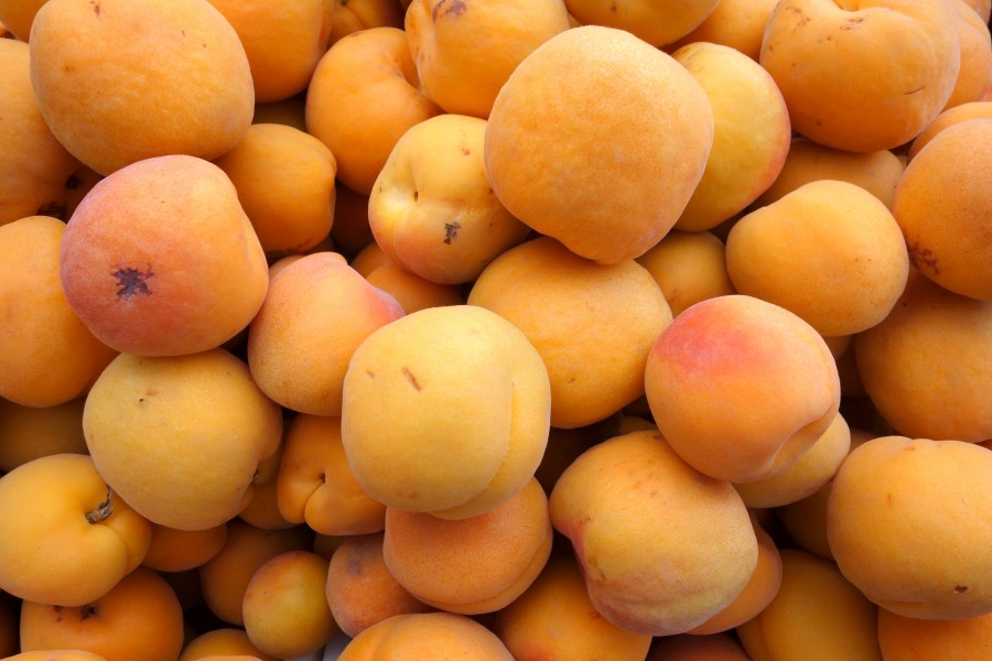 Apricots 2 - Farmer's Market at the Ferry Building - San Francisco, CA - DSC03603