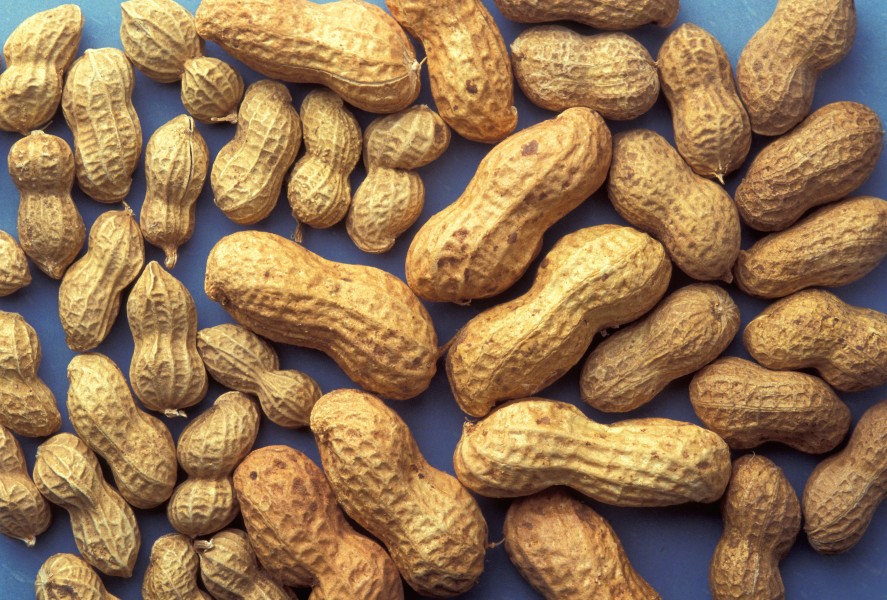 ARS peanuts
