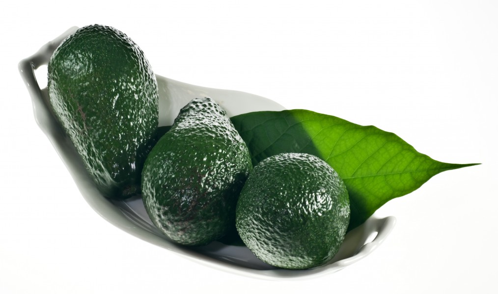 Avocado IMGP1093