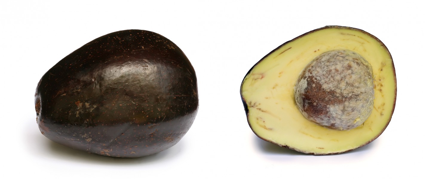 Avocado with cross section edit