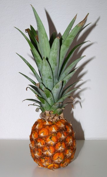 Baby-Ananas