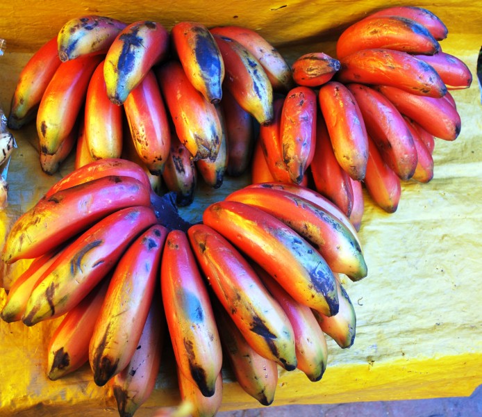 Bananas for Sale at Market - Trivandrum - Kerala - India
