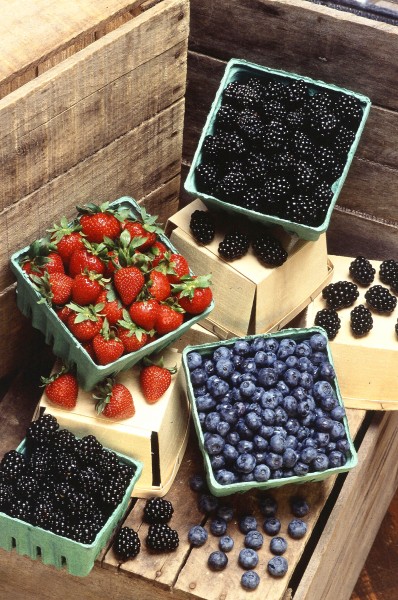 Berries (USDA ARS)