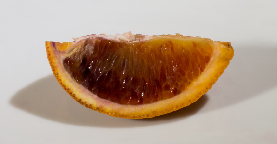 Blood orange slice