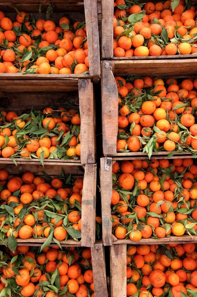 Boumalne du Dades, Oranges