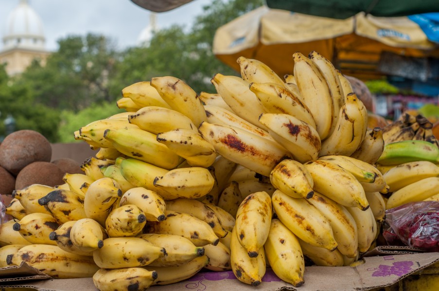 Bunch of bananas on sale