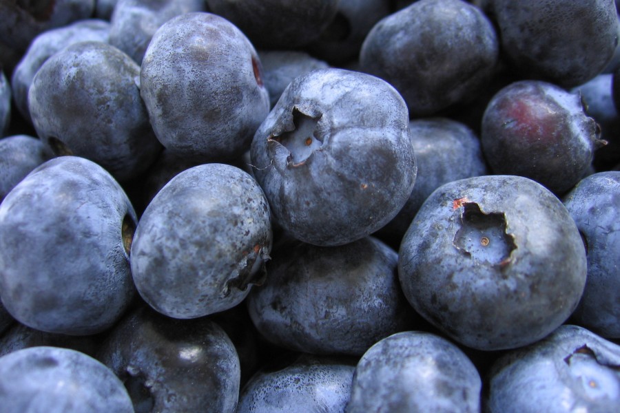 Bunch of blueberries