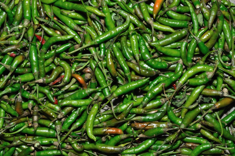 Capsicum - Kolkata 2011-04-12 2287