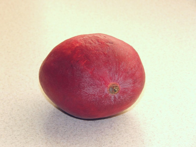 Carica papaya 2 (Piotr Kuczynski)