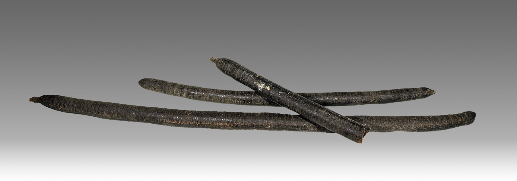 Cassia fistula MHNT.BOT.2007.26.54