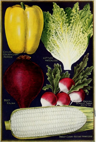 Childs' 1923 (1923) (20579180356)