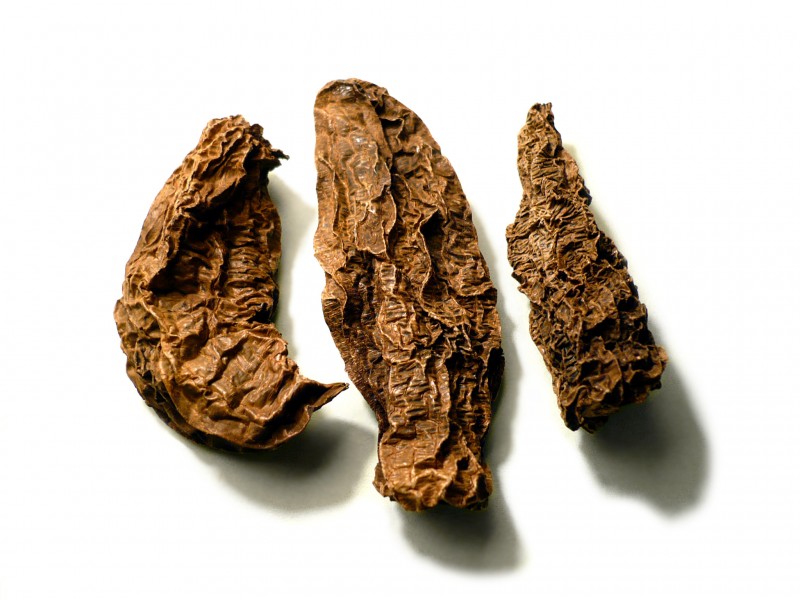 Chipotlestipicos