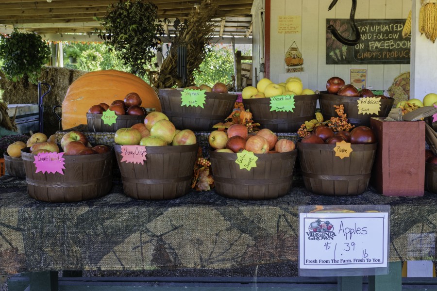 Cindy's Produce apples LR