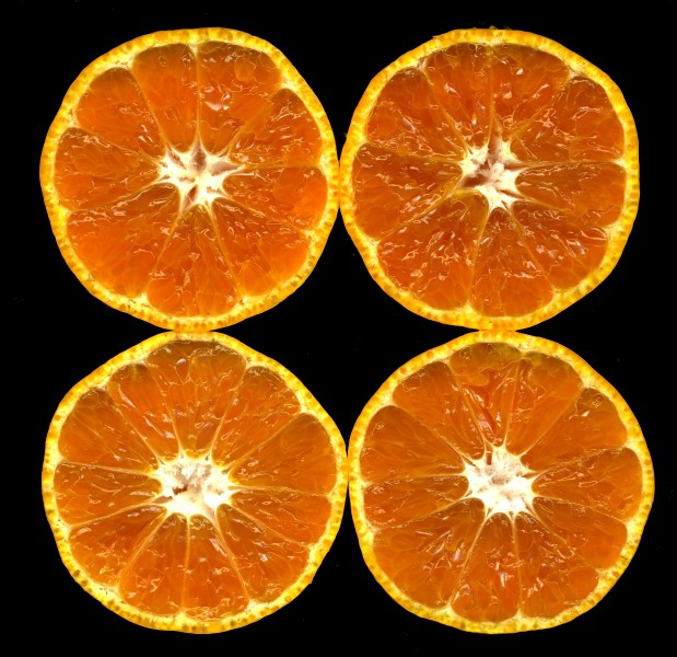 Citrus unshiu-unshu mikan