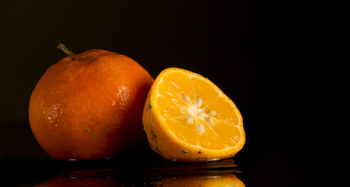 Citrus x limonia (2)
