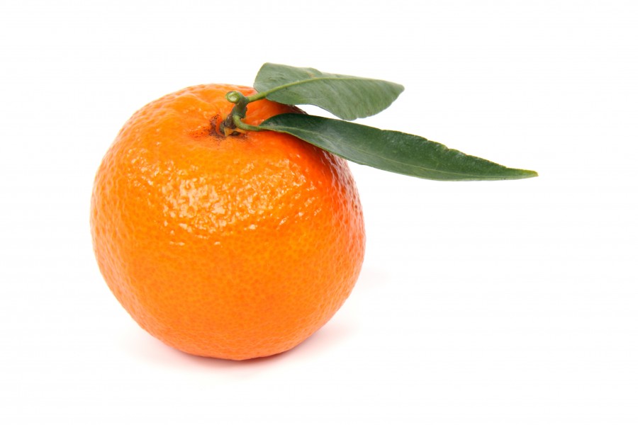 Clementine orange