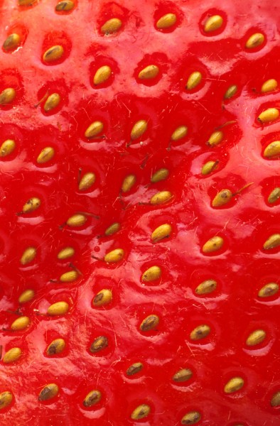 Closeup of a strawberry