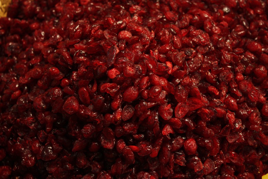 Dries cranberries auf der Messe Bremen 02