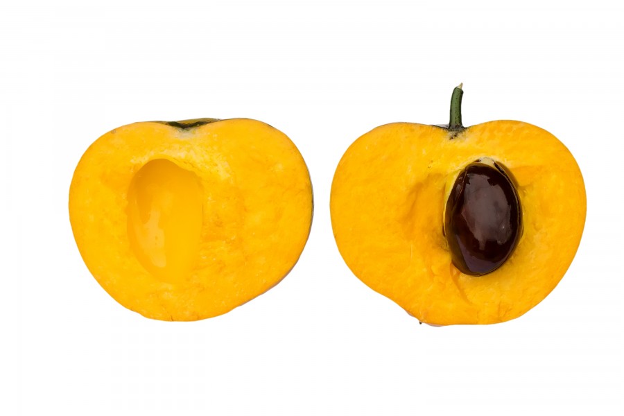 Egg fruit cross section DS