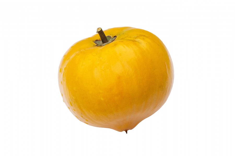Egg fruit DS