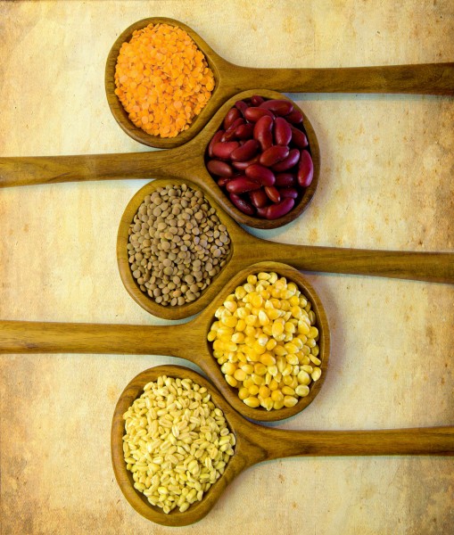 Egyptian Grains